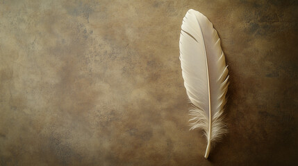 Feather Image with copy space: Clean and Simple grey Background Highlighting Texture