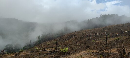 Fototapeta premium environmental sustainability 
