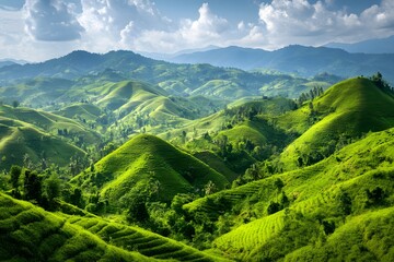 Lush green hills and dense forest under a clear sun