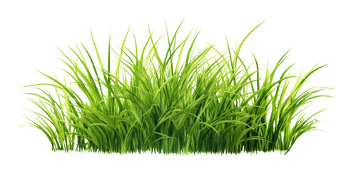 Naklejka premium PNG Grass plant green lawn.