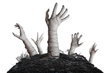 Mummy's hands wrapped in a bandage creepily moving reaches up through the ground grave on isolated background. The hand of the mummy monster for Halloween horror concept