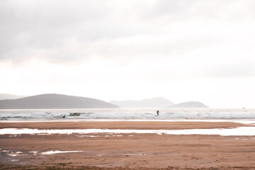    Surfers catching waves, waiting for a wave to come in the middle of the ocean near the beach during a beautiful day