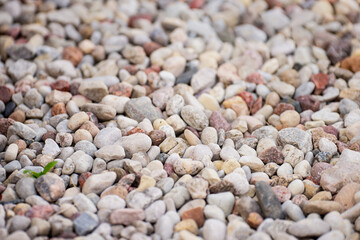 Bright stone pebbles close up on a river bed formation