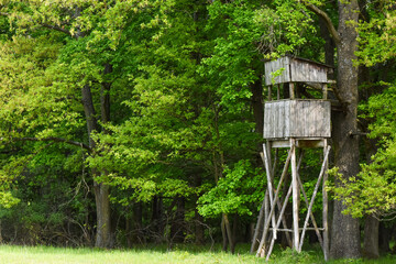 Sitting for hunters on the edge of the field and forest. A hunter's pulpit hidden in the forest for...