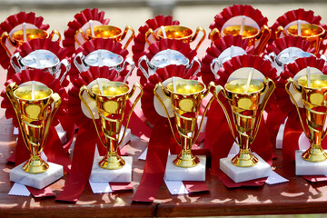 Award trophies waiting for competitors after amateur equestrian championship in row. Golden silver and bronze prizes for winners at an outdoors sport event