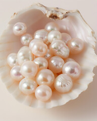 Series of cultured pearls, grouped together inside a large, white shell.
