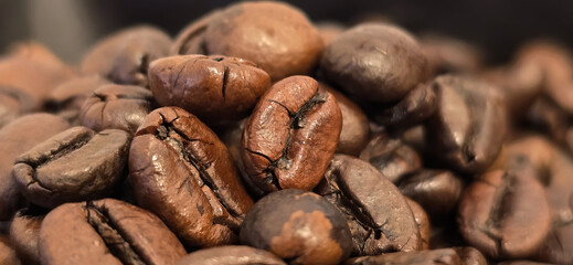 Close-up of roasted Arabic coffee beans