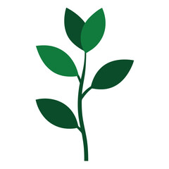 Black Silhouette Line Art Plant Vector.