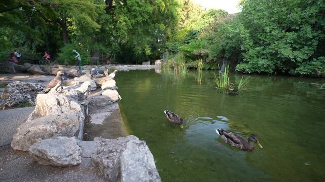 japanese garden on Budapest 's island
