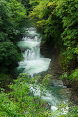 夏の鳳鳴四十八滝の風景 Houmei Shijuhachitaki waterfall