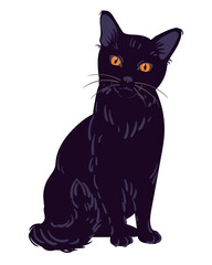 Black cat, vector illustration, cartoon character, animal in flat style. Magic familiar for witch, totem animal, symbol of wisdom and knowledge. Kitten sits and looks straight, on white background.