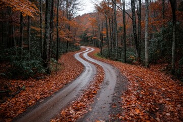 Fototapeta premium A twisting dirt road cuts through a vibrant forest during autumn, the ground carpeted with fallen leaves and trees painted in striking hues of red and orange.