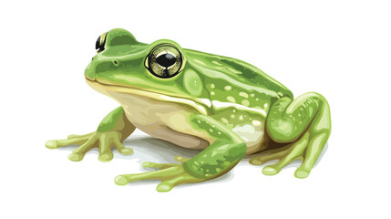 Obraz premium A Small Amphibian Known for Its Green Color and Slimy Texture isolated on white background