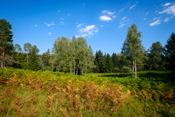 Steljniki area in Bela krajina, Slovenia