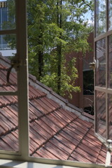 Fototapeta premium house in the woods