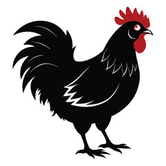 cartoon vector desing 