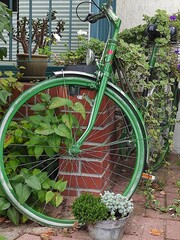 Mit grüner Farbe angestrichenes altes Fahrrad 