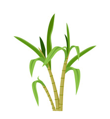 Sugarcane product concept. Green sugar stem. Natural and organic sweet products. Harvest and plantantion. Social media sticker. Flat vector illustration isolated on white background