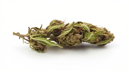 Close-up of dried cannabis flower with leaves on white background, isolated
