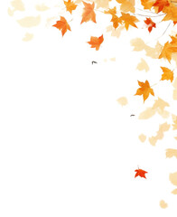 PNG Autumn leaves backgrounds maple plant.