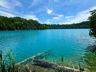 Green lakes state park © Drema