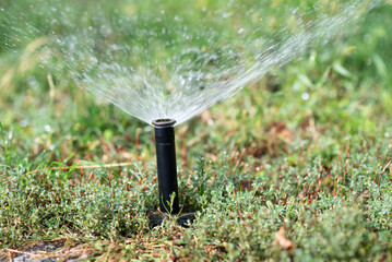 Turbo-driven pop-up sprinkler watering the fresh green lawn grass in the summer garden