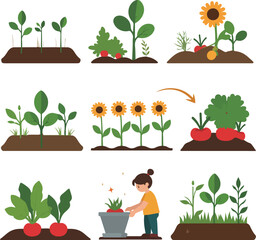 Farming and Growth Stages Illustration