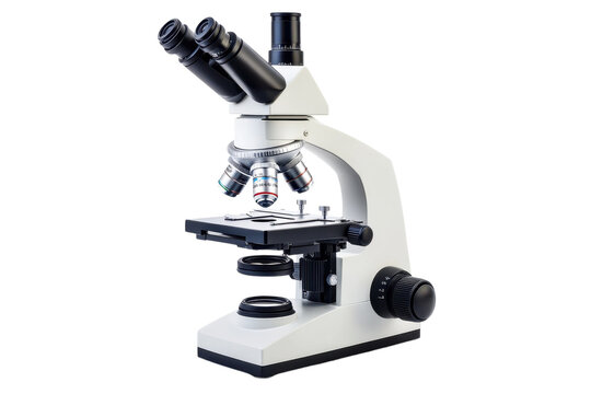 Exploring the microscopic world with a modern laboratory microscope during a science experiment