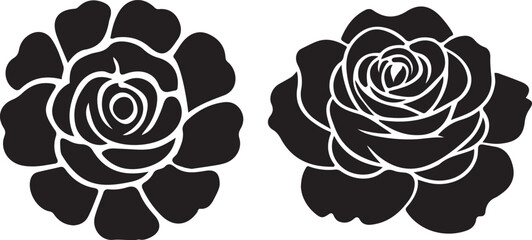 The World of Flowers: A Comprehensive Exploration