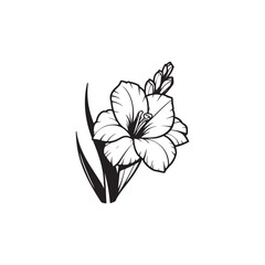 Gladiolus Flower with Leaves - Detailed Black Outline Vector on White