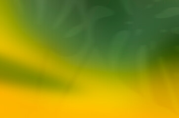 Blurred green and yellow background with shadow from monstera leaves. Abstract background. 