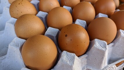 eggs in carton box . A collection of chicken eggs sold in supermarkets
