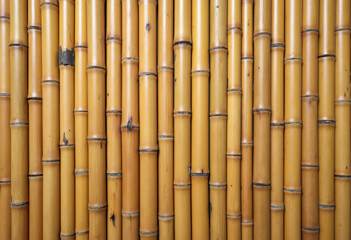 Naklejka premium Dry bamboo fence background