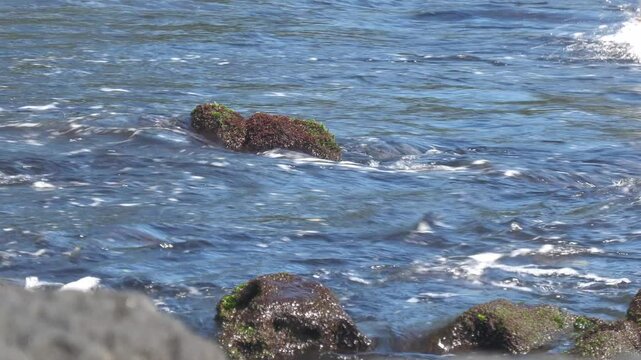 Foaming waves crashing against rocks on a tropical beach
