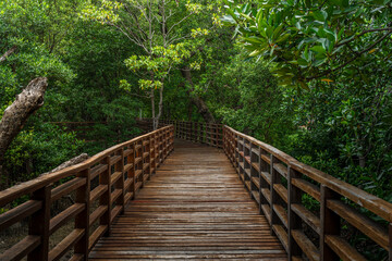 Phra chedi klang nam mangrove forest, Rayong Province, Thailand. Mangrove forest background in the...