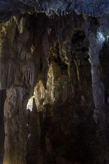 bats in a cave in the dark