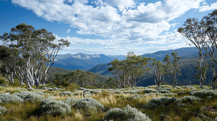 An Australian alpine landscape with snow gums and other high-altitude flora, showcasing the unique vegetation of the region 