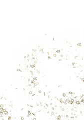 XMAS Stars - Glossy 3D Christmas star icon. Design element for holidays. -