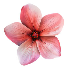 Fototapeta premium Variety of Top View Flat Flowers Isolated