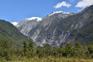 Obraz premium Hiking in the magical landscapes around the Franz Josef Glacier in Westland Tai Poutini National Park, New Zealand