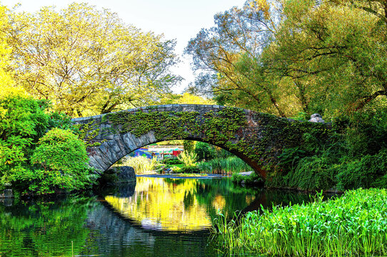 bridge in the park