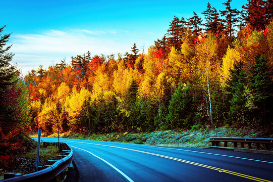 road in autumn