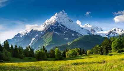 Obraz premium Beautiful summer day with mountain blooming meadows green landscape 