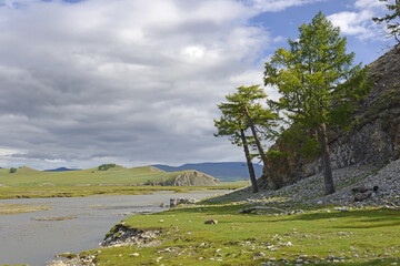 The valley of the Egiin Gol river flowing out of the lake Chövsgöl núr (Khövsgöl), Khövsgöl and Bulgan aimags in northern Mongolia © Pecold