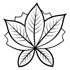 chestnut leaf outline coloring book page line art drawing