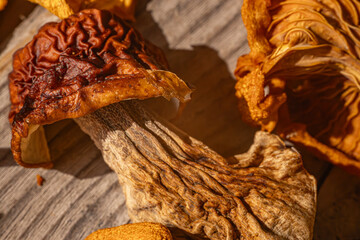 Detailed close-up of a dried wild mushroom, focusing on its wrinkled cap and textured stem. Natural sunlight enhances the earth tones of the mushroom.
