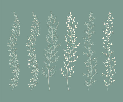 white floral stems on teal background clip art preview
