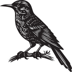 Sparrow silhouette vector illustration.