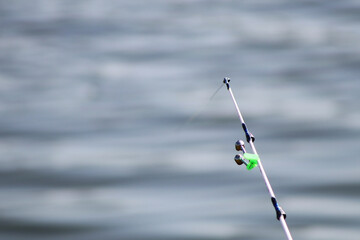 professional spinning rod for fishing in the lake