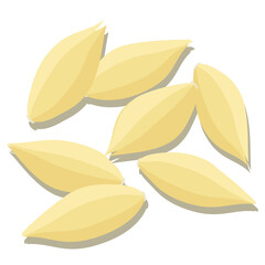 Harvested golden ripe barley grains